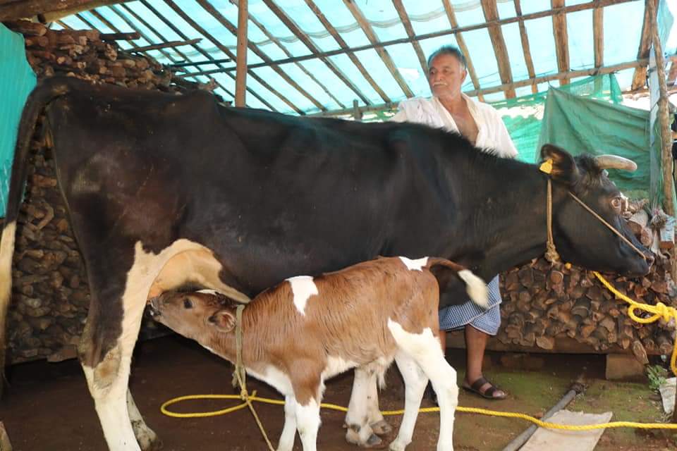 FB_IMG_1536250093708