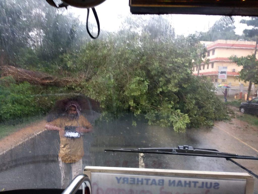 ബത്തേരി- കോഴിക്കോട് ദേശീയ പാതയിൽ കൊളഗപ്പാറക്കടുത്ത് മരം വീണ് ഗതാഗതം തടസപ്പെട്ടു