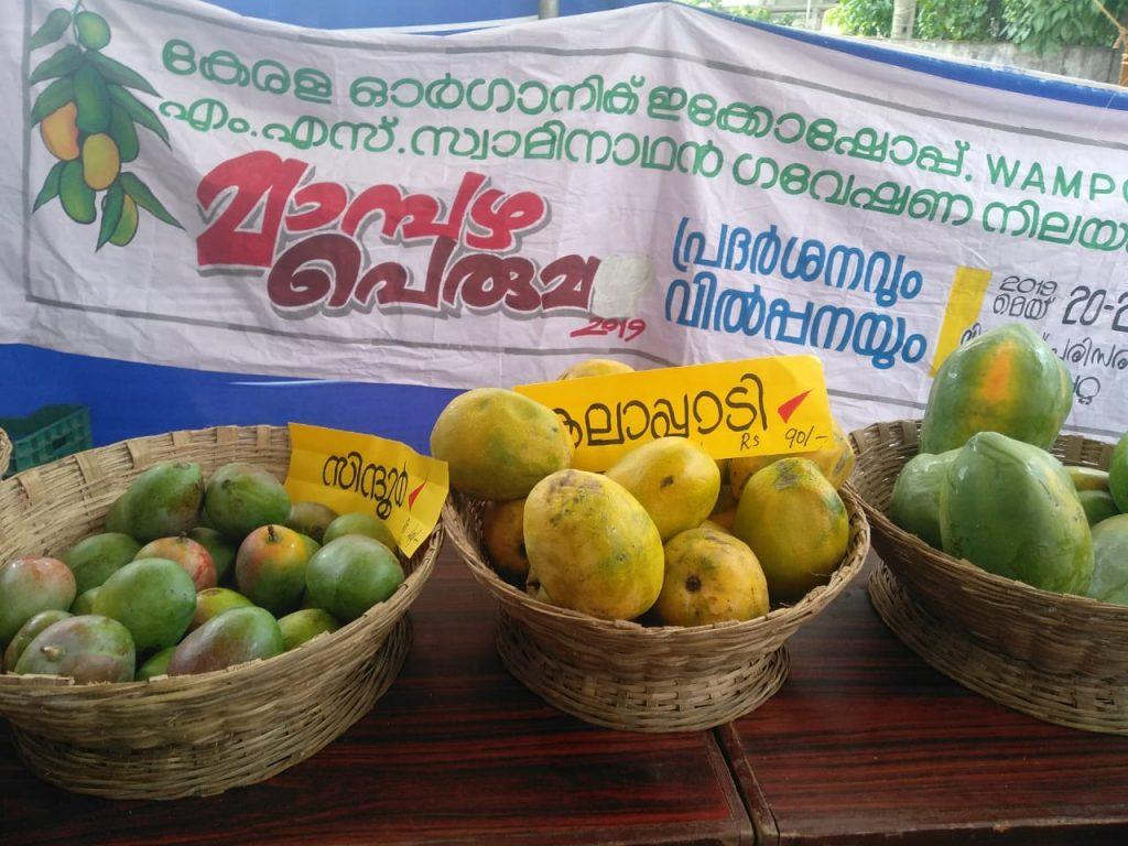 മാമ്പഴപ്പെരുമ: രണ്ട് ദിവസത്തെ മാമ്പഴ ഉത്സവം കൽപ്പറ്റയിൽ തുടങ്ങി.