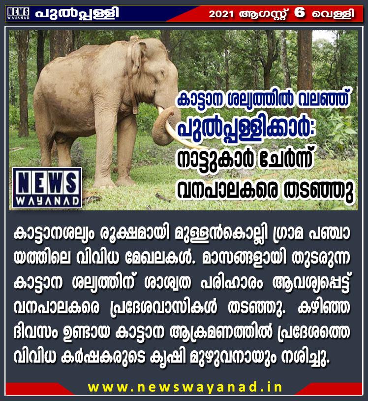 Elephant Copy.jpg