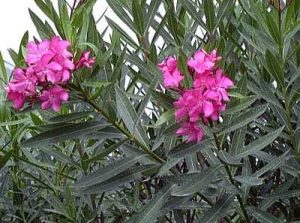 Img 20240504 Wa0165