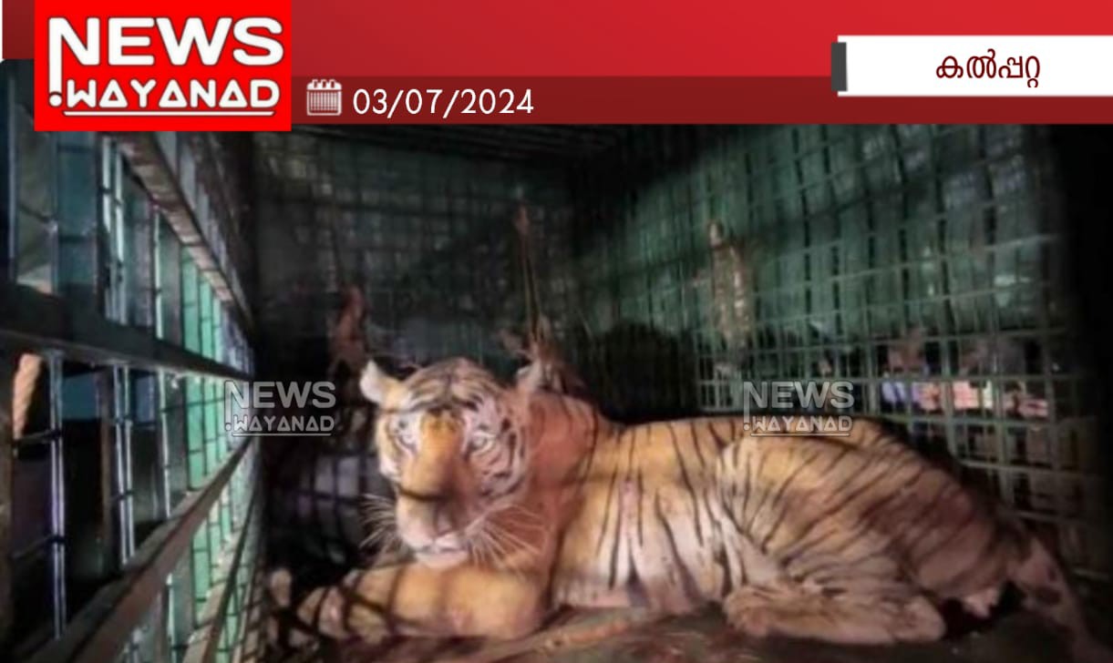 Img 20240703 Wa01172tyc81x3