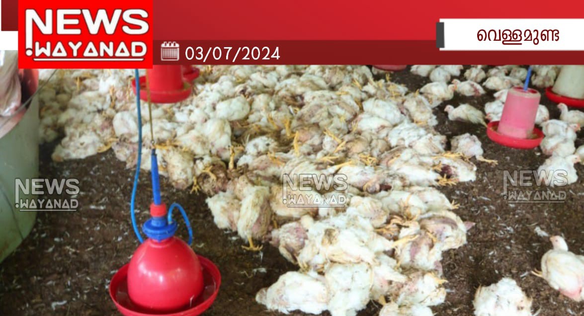 Img 20240703 Wa01192