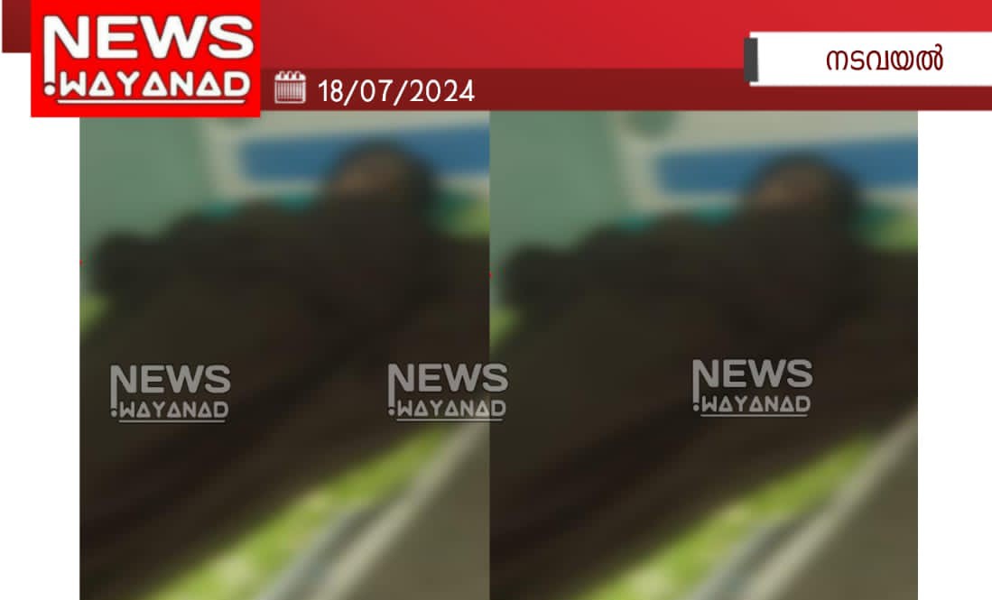 Img 20240718 Wa00252