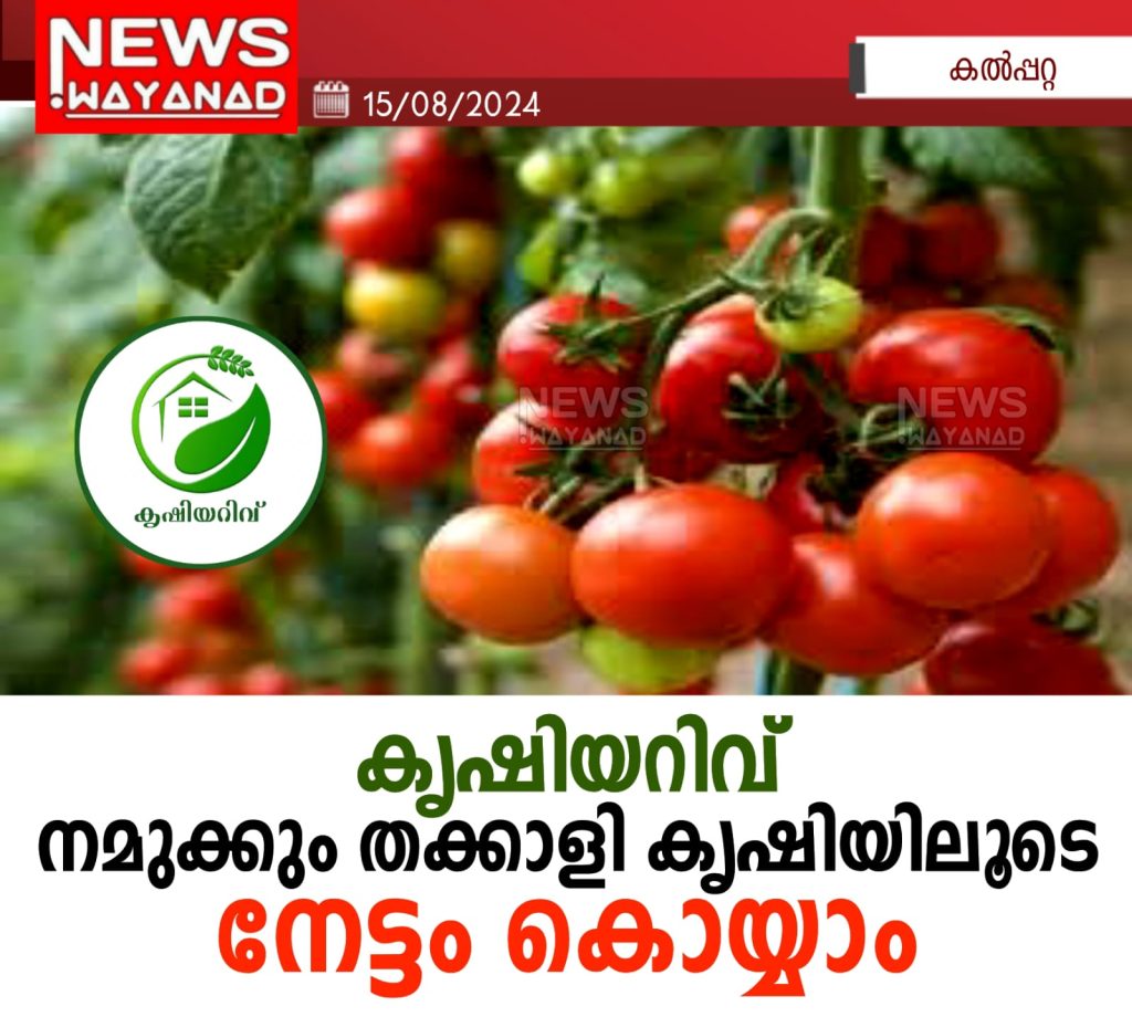 Img 20240815 Wa0004