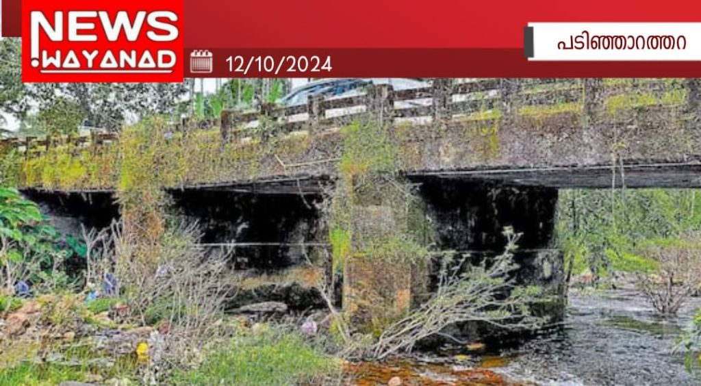 Img 20241012 Wa00051