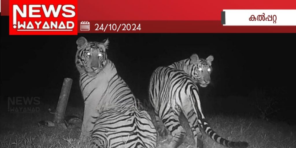 Img 20241024 Wa00911