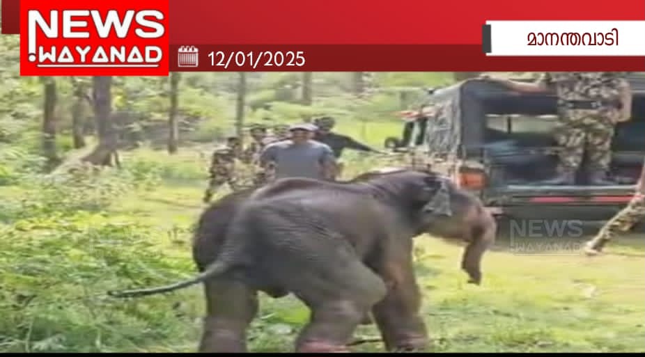 20250112 212956h1hhugl