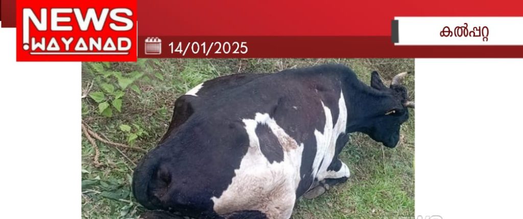 20250114 132024