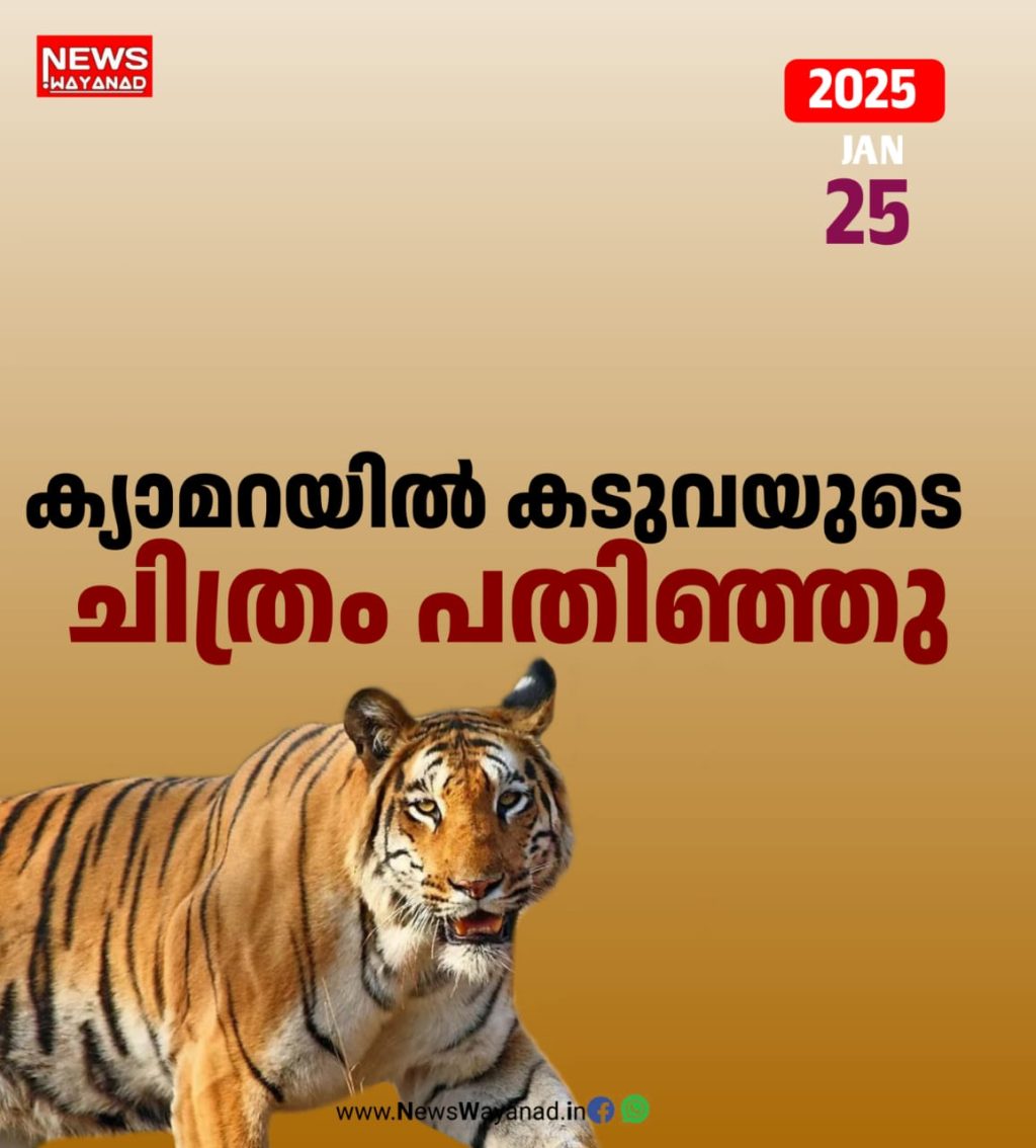 Img 20250125 Wa0081