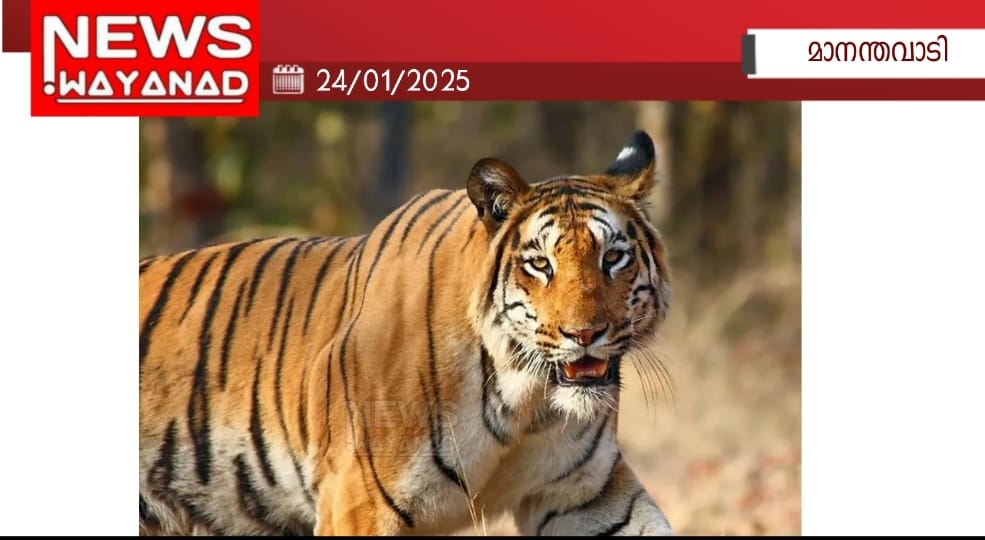 Img 20250124 133107km9kllp