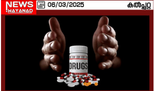 Dgsdg