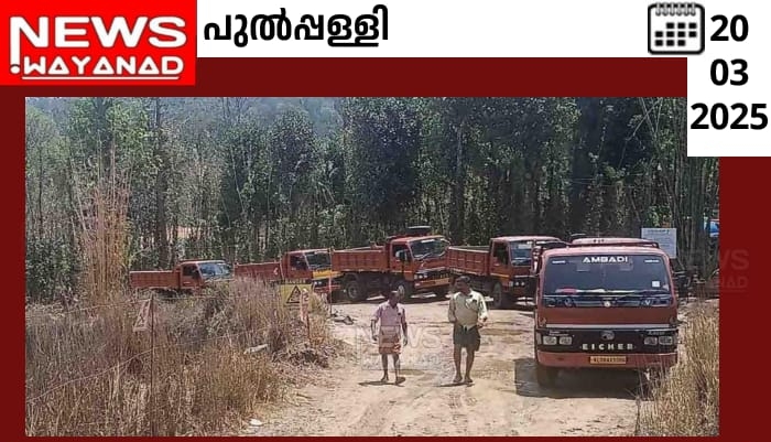 Img 20250320 094530ghfidtb