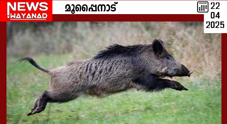 gfhf