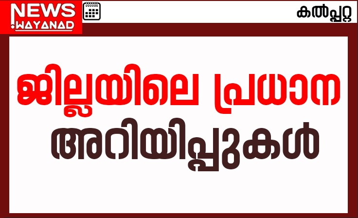 img-20250314-wa03545