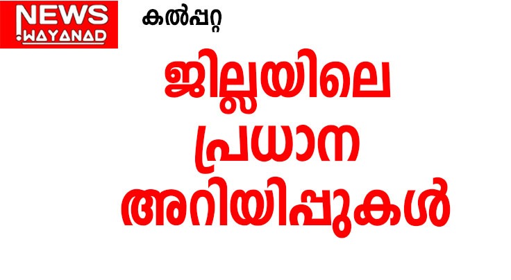 ariyipp
