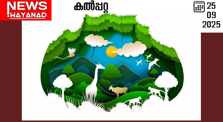 site-psd-529