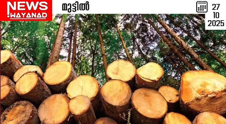 site-psd-566