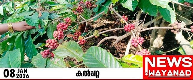 IMG-20260108-WA0124(1)