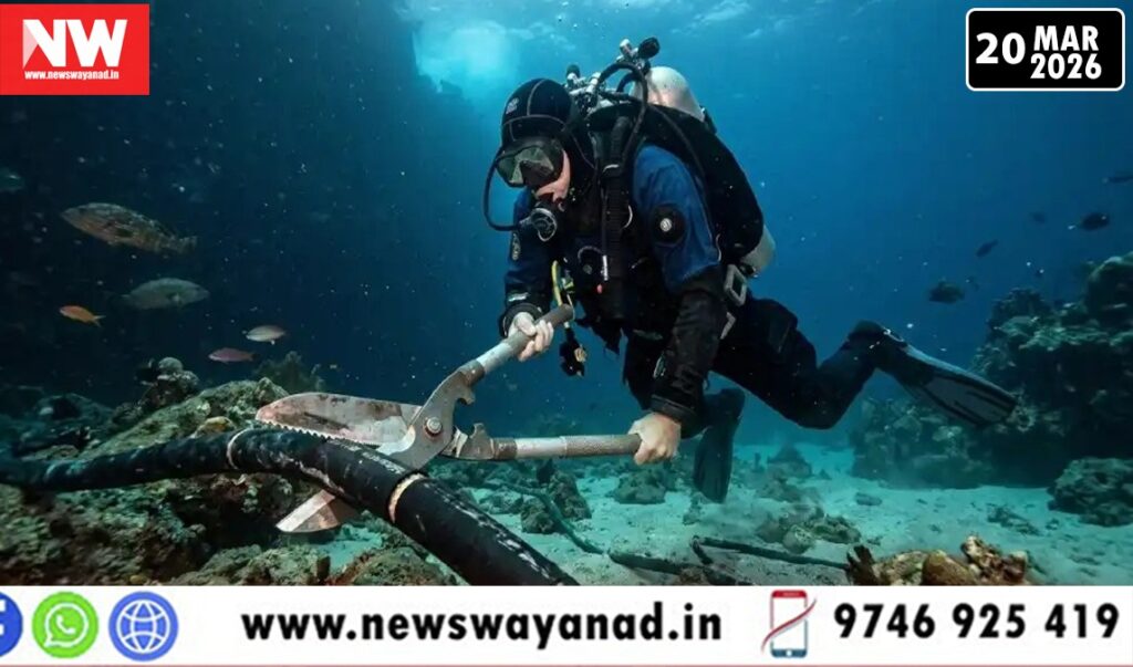 45d83c44-ce71-481f-a4bc-521a7cfa2d5b