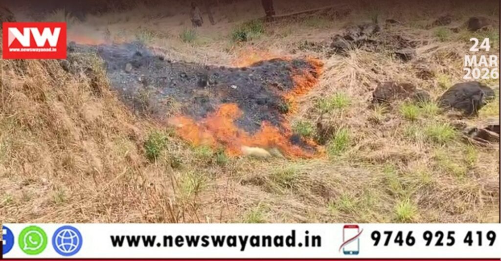 WhatsApp Image 2026-03-24 at 6.53.16 PM