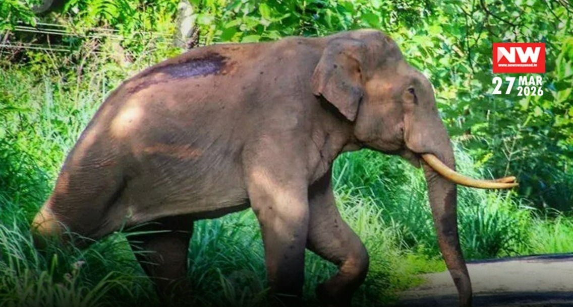 WhatsApp Image 2026-03-27 at 10.11.44 AM