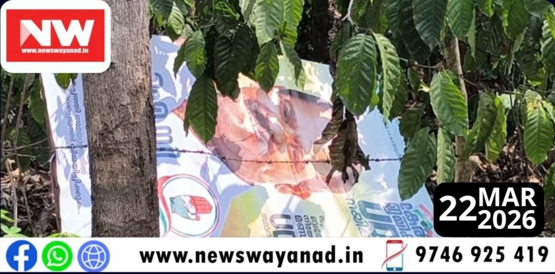 ca44ca49-5758-4918-9754-06057cbf803b