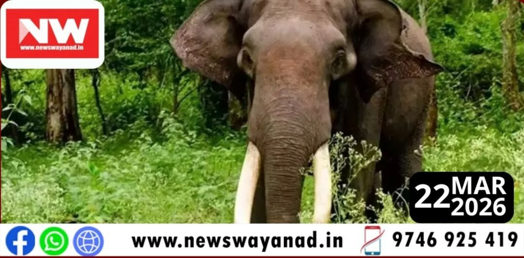 dc7bf4ae-078c-4af2-96f3-7269e4ada0ab