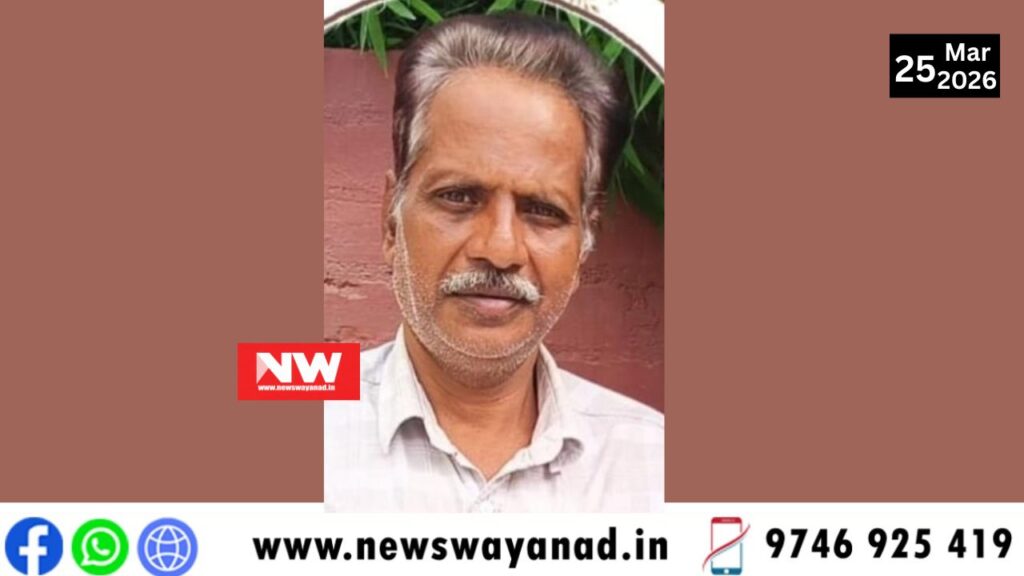 template for wayanad news (4)