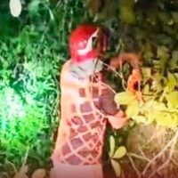 മാനന്തവാടിയിൽ മരം കടപുഴകി വീണ് ഗതാഗതം തടസ്സപ്പെട്ടു; അഗ്നിരക്ഷാ സേന മുറിച്ചുനീക്കി