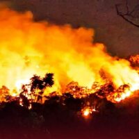 സുഗന്ധഗിരിയിൽ വൻ തീപിടിത്തം: 500 ഏക്കറോളം വനം കത്തിയമർന്നു