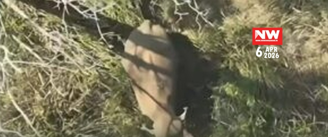 WhatsApp Image 2026-04-06 at 2.42.41 PM