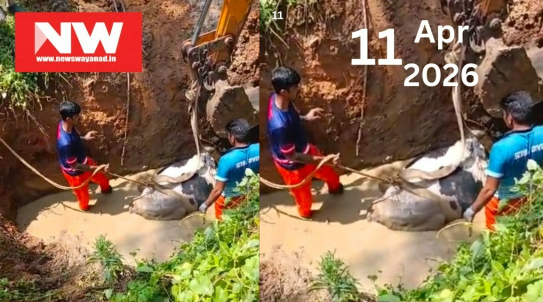 WhatsApp Image 2026-04-11 at 2.28.10 PM