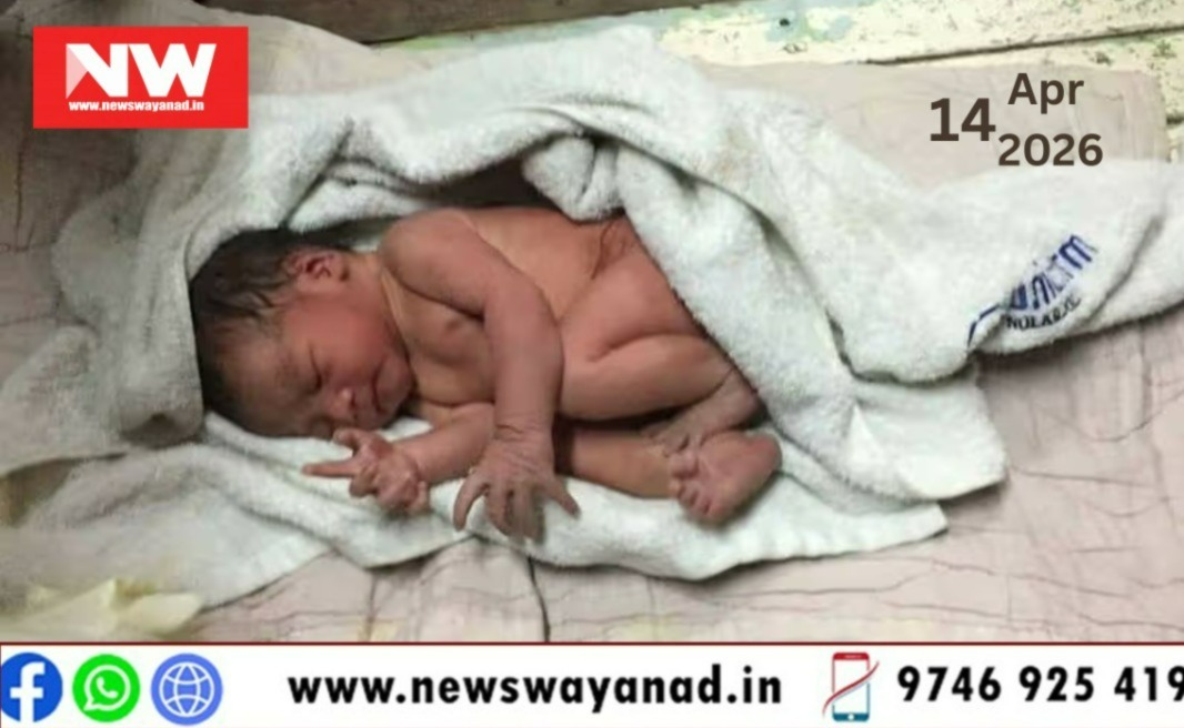 WhatsApp Image 2026-04-14 at 6.12.31 PM