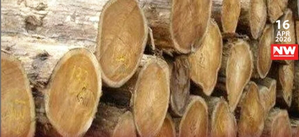 WhatsApp Image 2026-04-16 at 8.16.59 PM