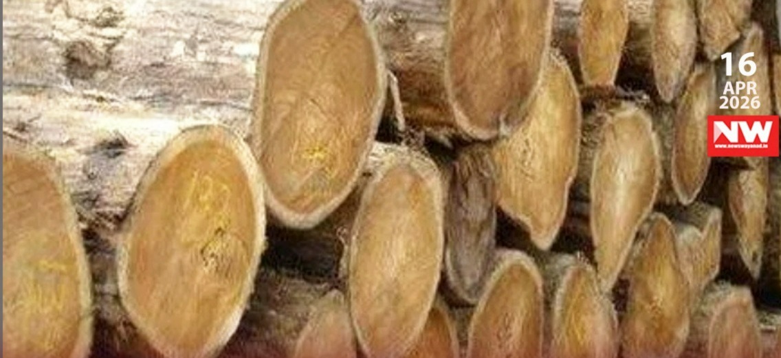 WhatsApp Image 2026-04-16 at 8.16.59 PM