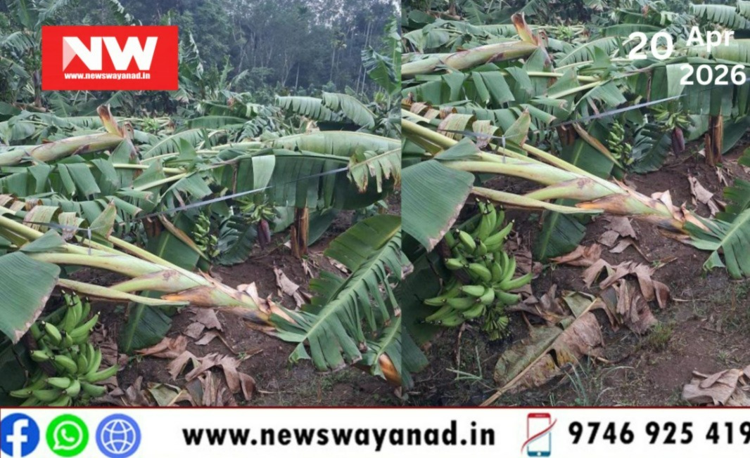 WhatsApp Image 2026-04-20 at 12.56.45 PM