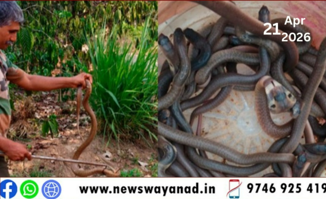 WhatsApp Image 2026-04-21 at 6.10.10 PM