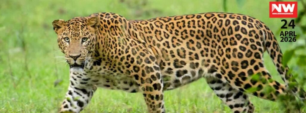 WhatsApp Image 2026-04-24 at 4.49.19 PM