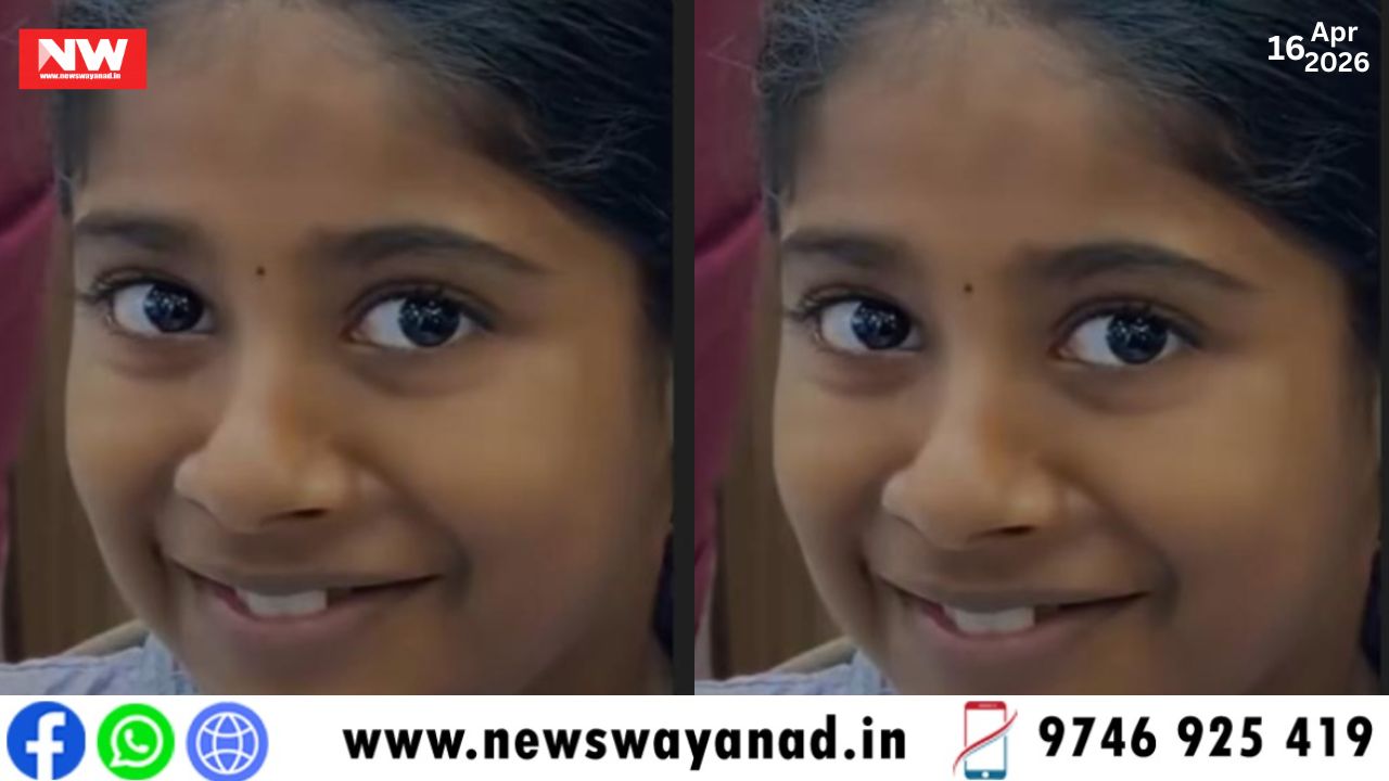 template for wayanad news (1)