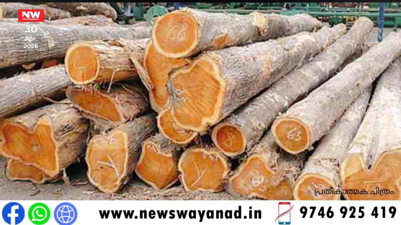 template for wayanad news