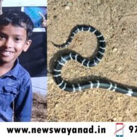 പാമ്പുകടിയേറ്റ് സംസ്ഥാനത്ത് മരിച്ചത് നാല് പേർ; ജില്ലാ മെഡിക്കൽ ഓഫീസേഴ്‌സിന്റെ യോഗം വിളിച്ച് ആരോഗ്യവകുപ്പ് 