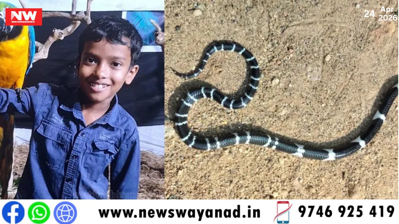 template for wayanad news (4)