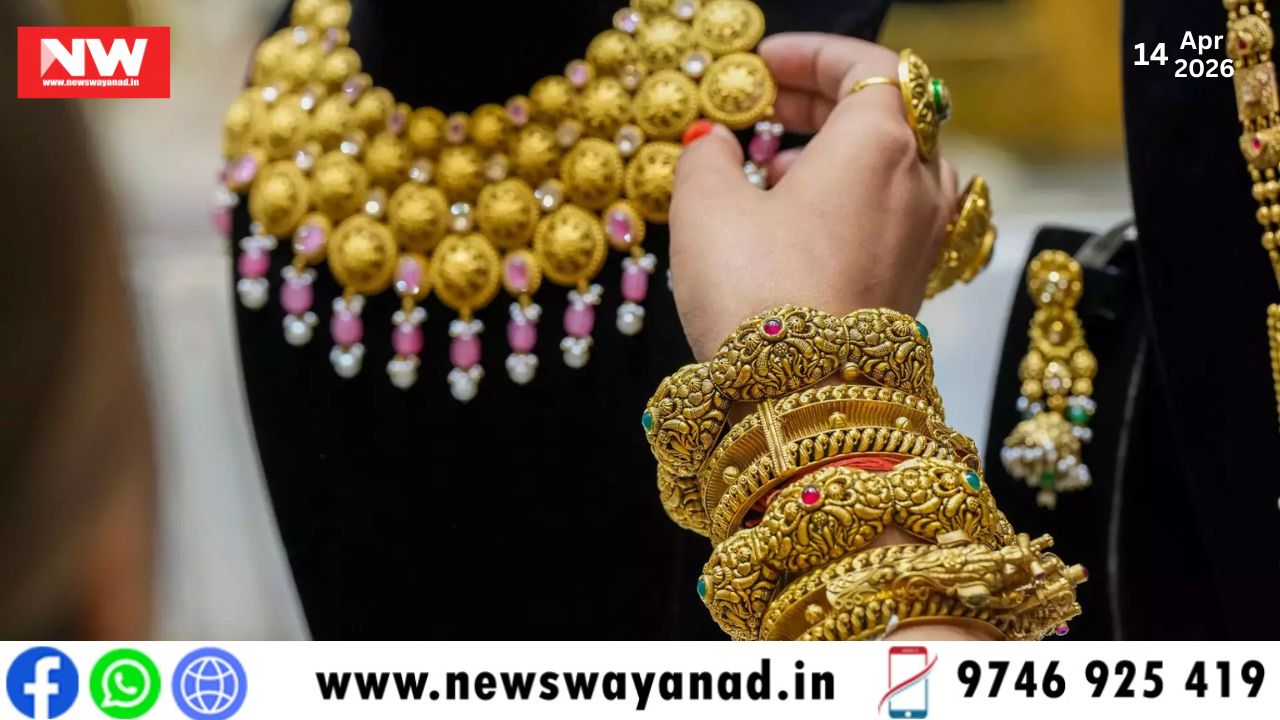 template for wayanad news (9)