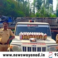 103 കുപ്പികളിലായി 52 ലിറ്ററോളം മാഹി മദ്യം; വെൺമണിയിൽ വൻ മദ്യവേട്ട