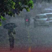 ഒറ്റപ്പെട്ട ശക്തമായ മഴയ്ക്ക് സാധ്യത; വയനാട്ടിൽ ഇന്ന് യെല്ലോ അലർട്ട്