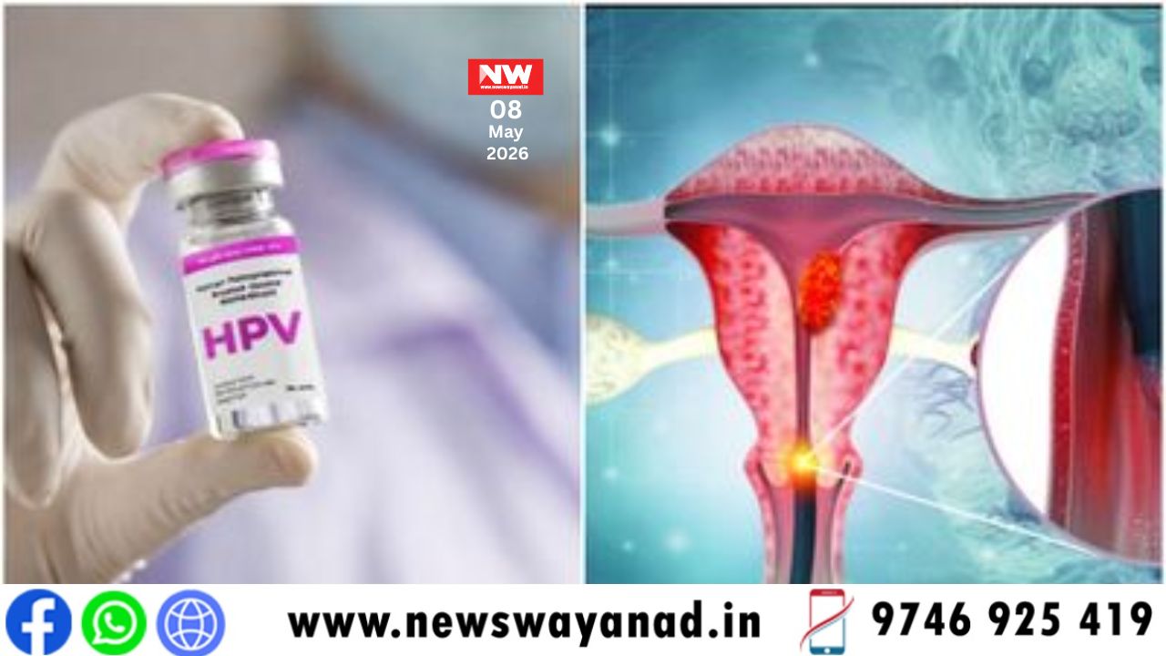 template for wayanad news (3)