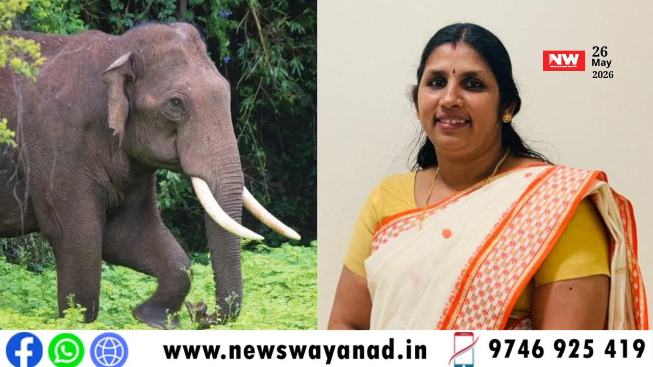 template for wayanad news (4)