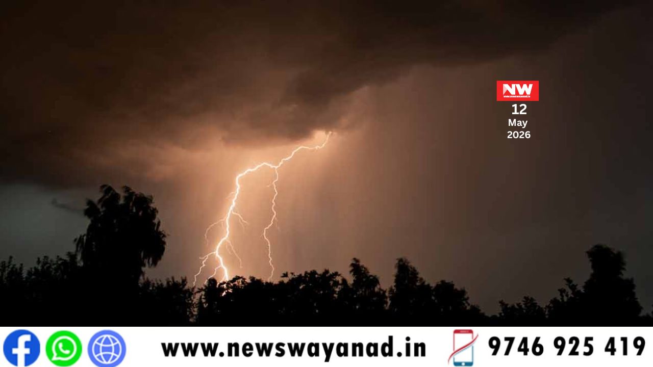 template for wayanad news (5)
