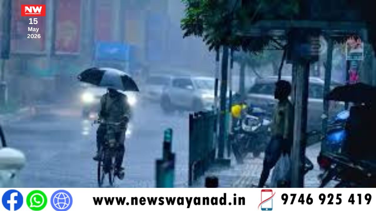 template for wayanad news (5)